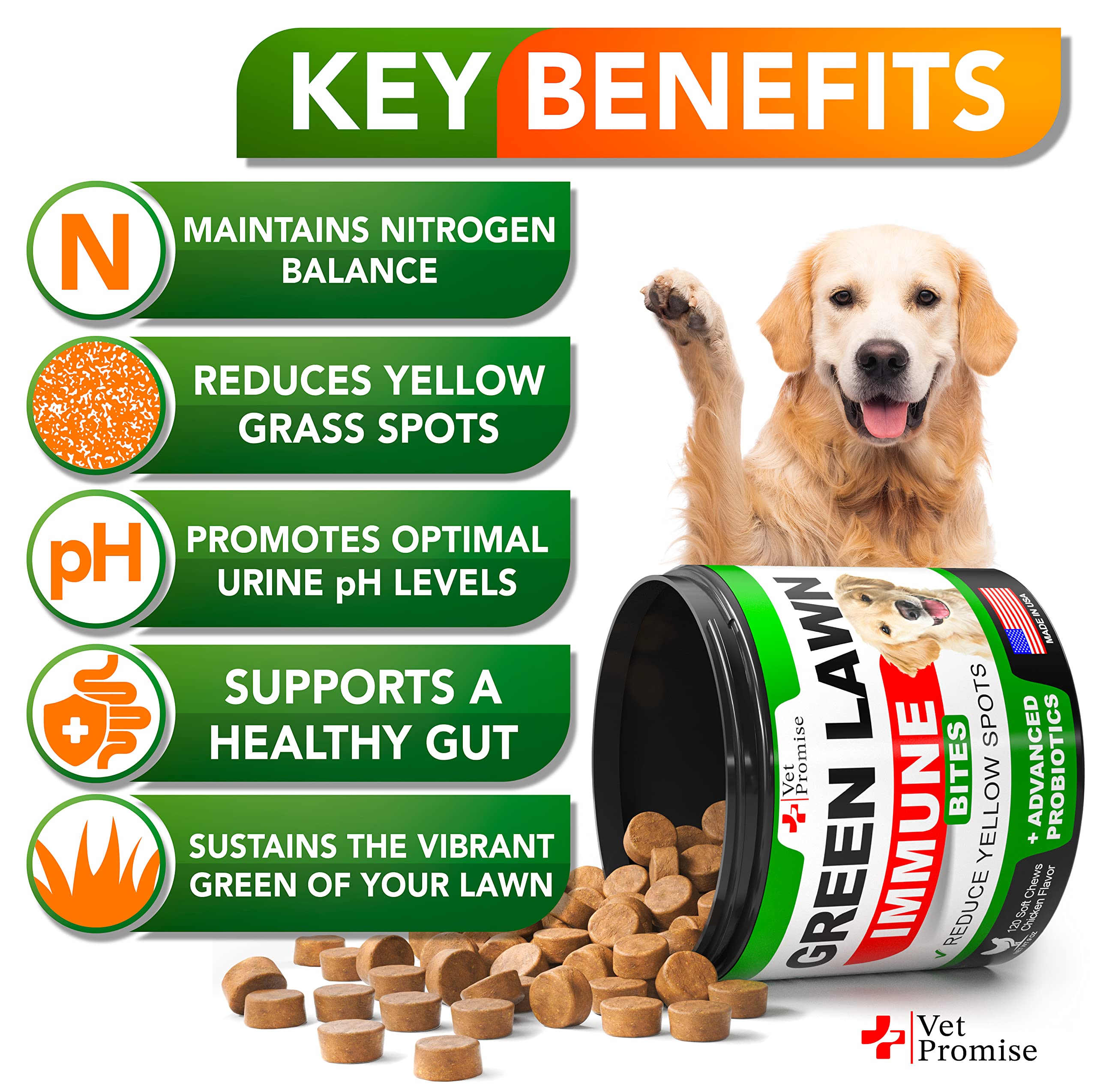 Vet Promise probióticos digestivos en caja, apoyo potencial para digestión y absorción.