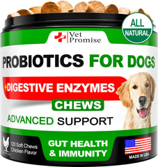 Vet Promise probióticos para perro, comprimidos masticables que apoyan la digestión.