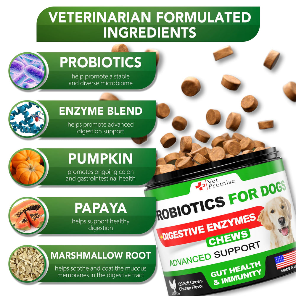 Vet Promise probióticos para perro, etiqueta clara facilita identificar beneficios.