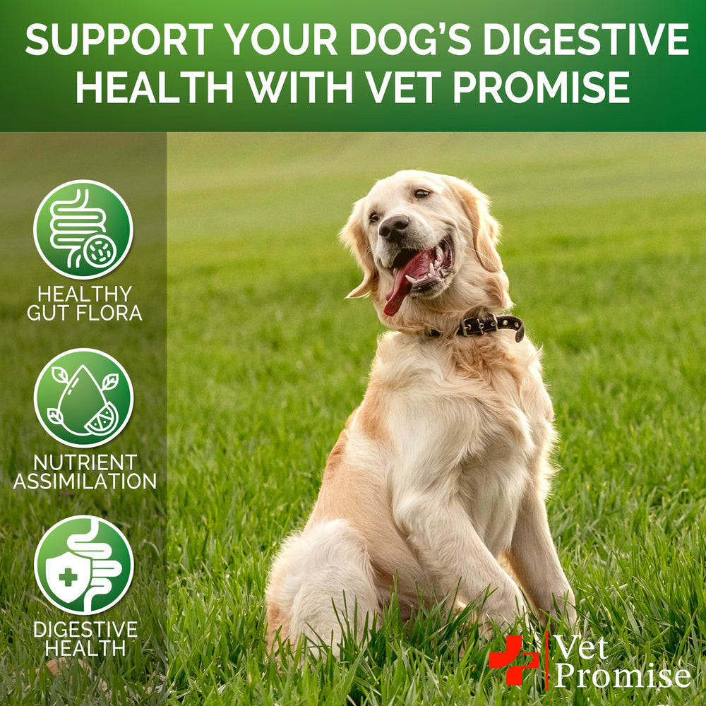 Vet Promise probióticos para perro, frasco hecho en EE. UU. y fórmula veterinaria.