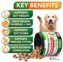 Vet Promise probióticos para perro, uso diario para piel y alergias.