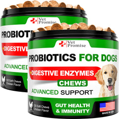 Vet Promise probióticos para perros: envase visible para dosis diarias