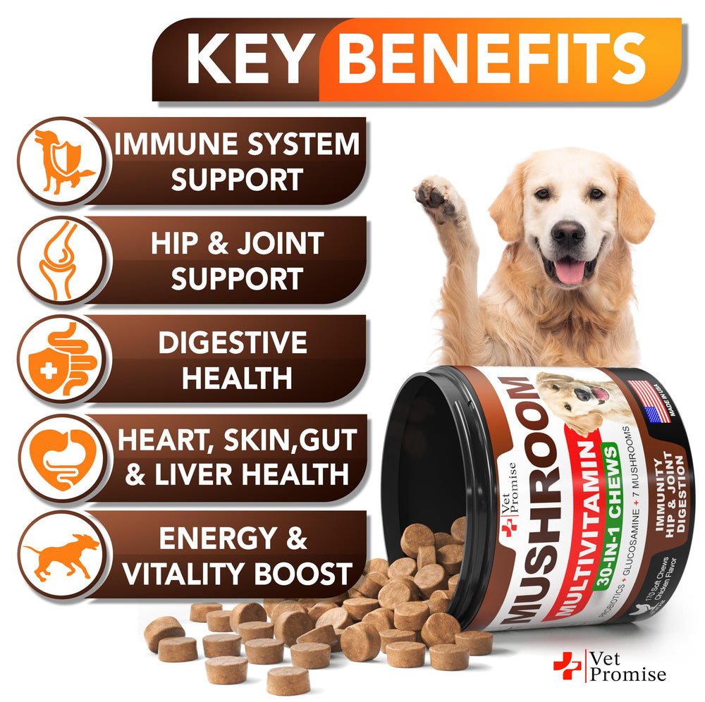 Vet Promise reishi para perros, suplemento con omega-3 para apoyo diario.