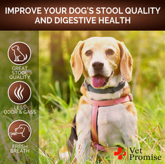 Ingredientes naturales de alta calidad en Vet Promise para perros.