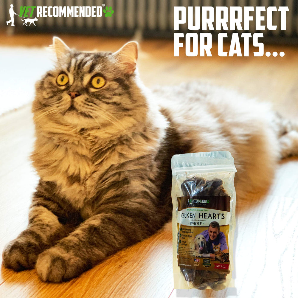 Vet Recommended: fuente natural de taurina para perros y gatos