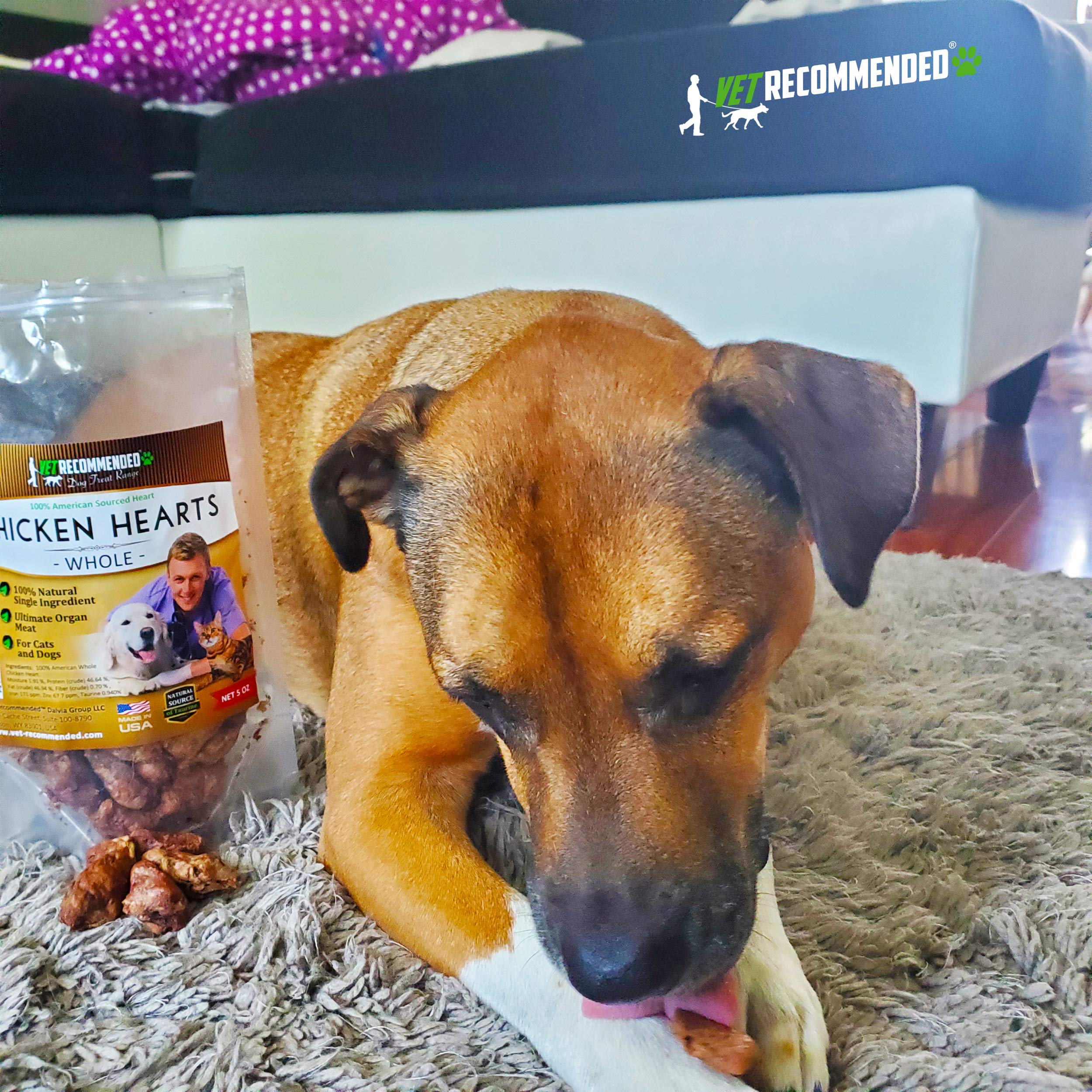 Vet Recommended: textura crujiente que motiva a comer a tu mascota