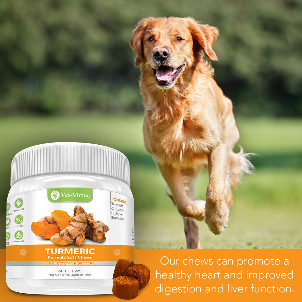 Vet-Virtue Curcuma para perros con Bioprene – mejor absorción y soporte potencial.
