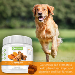 Vet-Virtue Curcuma para perros con Bioprene – mejor absorción y soporte potencial.