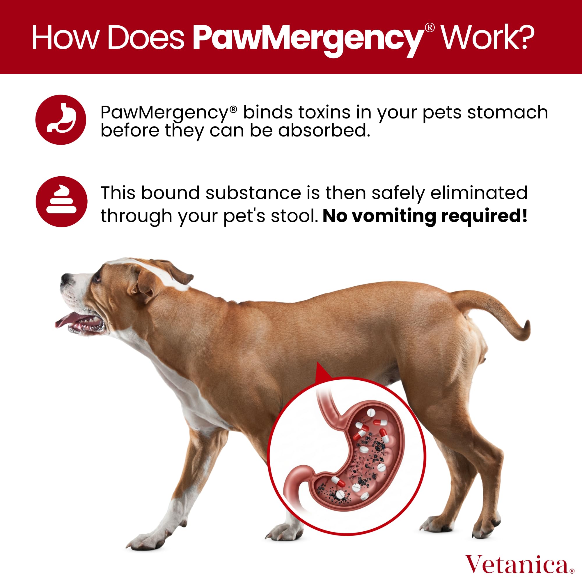 Calidad GMP y pruebas externas para PawMergency.