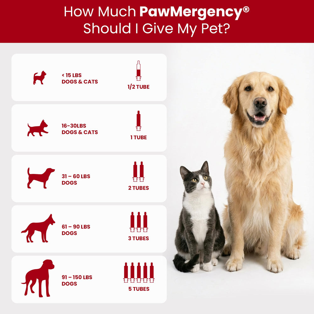 PawMergency de Vetanica: mezcla fácil en comida.
