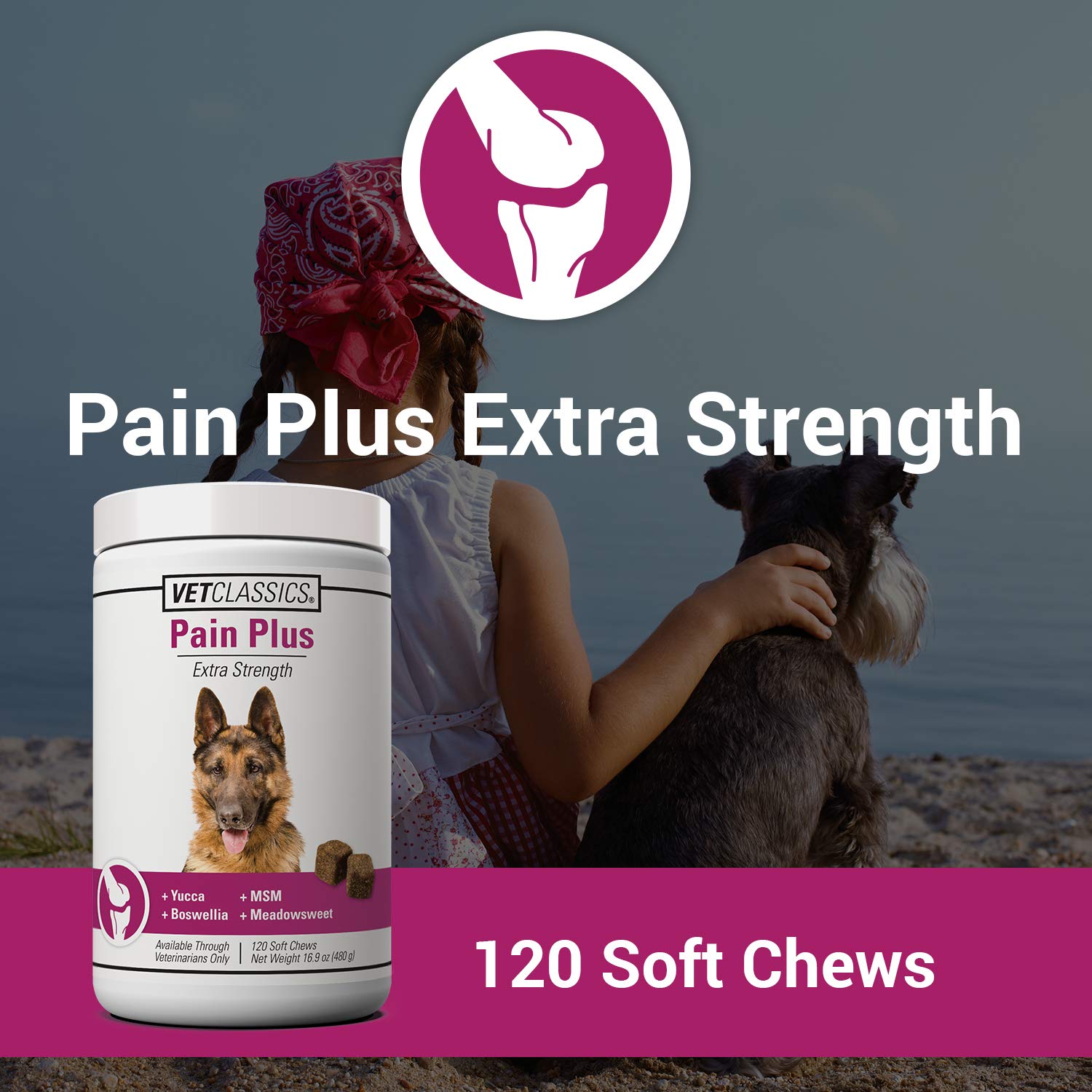 Botella de Vet Classics Pain Plus con etiqueta, almacenamiento práctico.