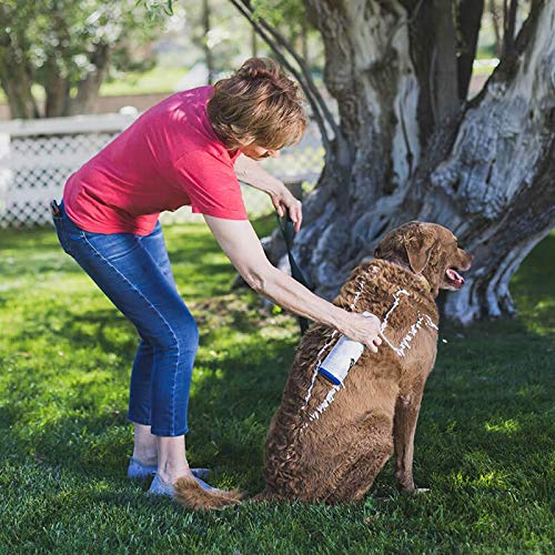 Baño de mascotas con FoamCare, limpieza duradera y pelaje limpio para perros y gatos.