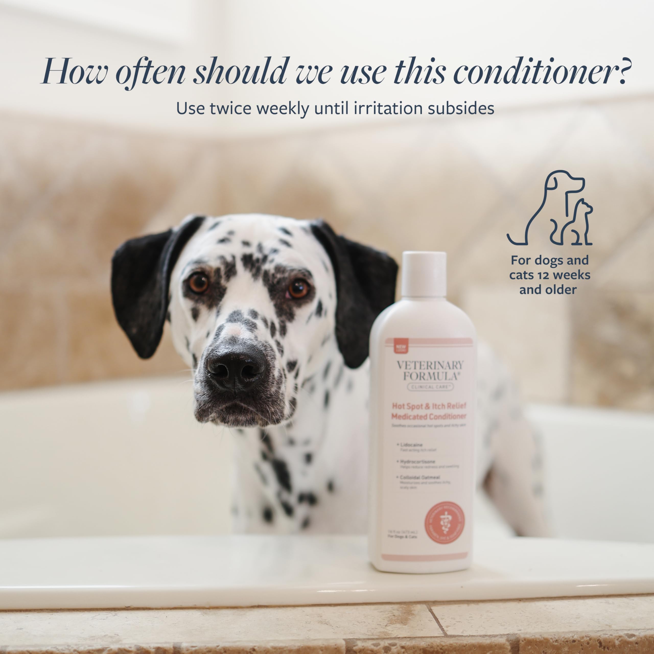 Rutina de baño completa con Veterinary Formula para perros y gatos.