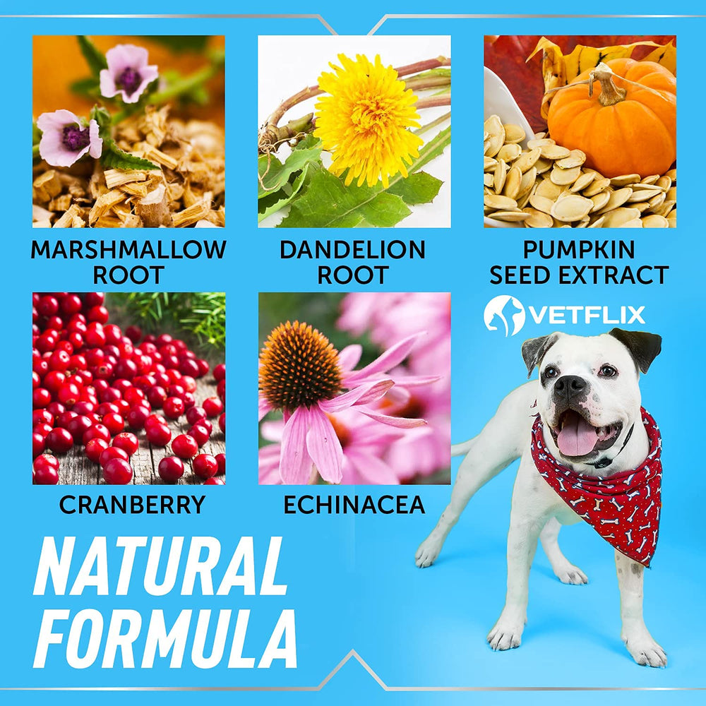 Empaque en caja Vetflix, hecho en EE. UU. con ingredientes naturales.