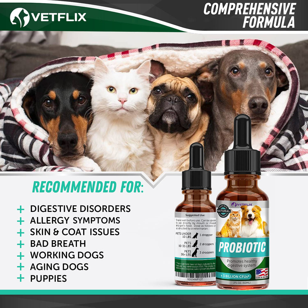 Vetflix Premium Probióticos: enzimas digestivas y fibra para una digestión suave