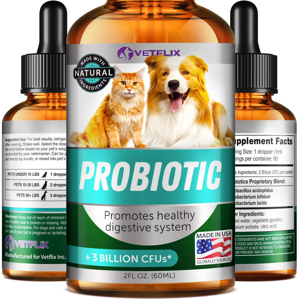 Vetflix Premium Probióticos: frasco visible con etiqueta clara y apoyo a la salud digestiva