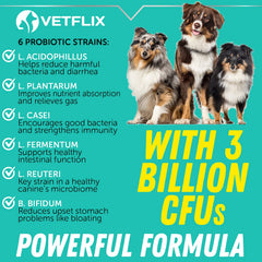 Vetflix Premium Probióticos: gato junto al frasco para bienestar digestivo suave