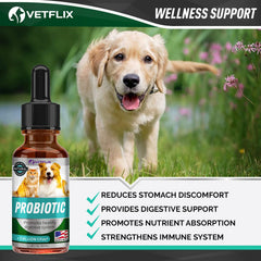 Vetflix Premium Probióticos: perro curioso probando dosis diarias suaves