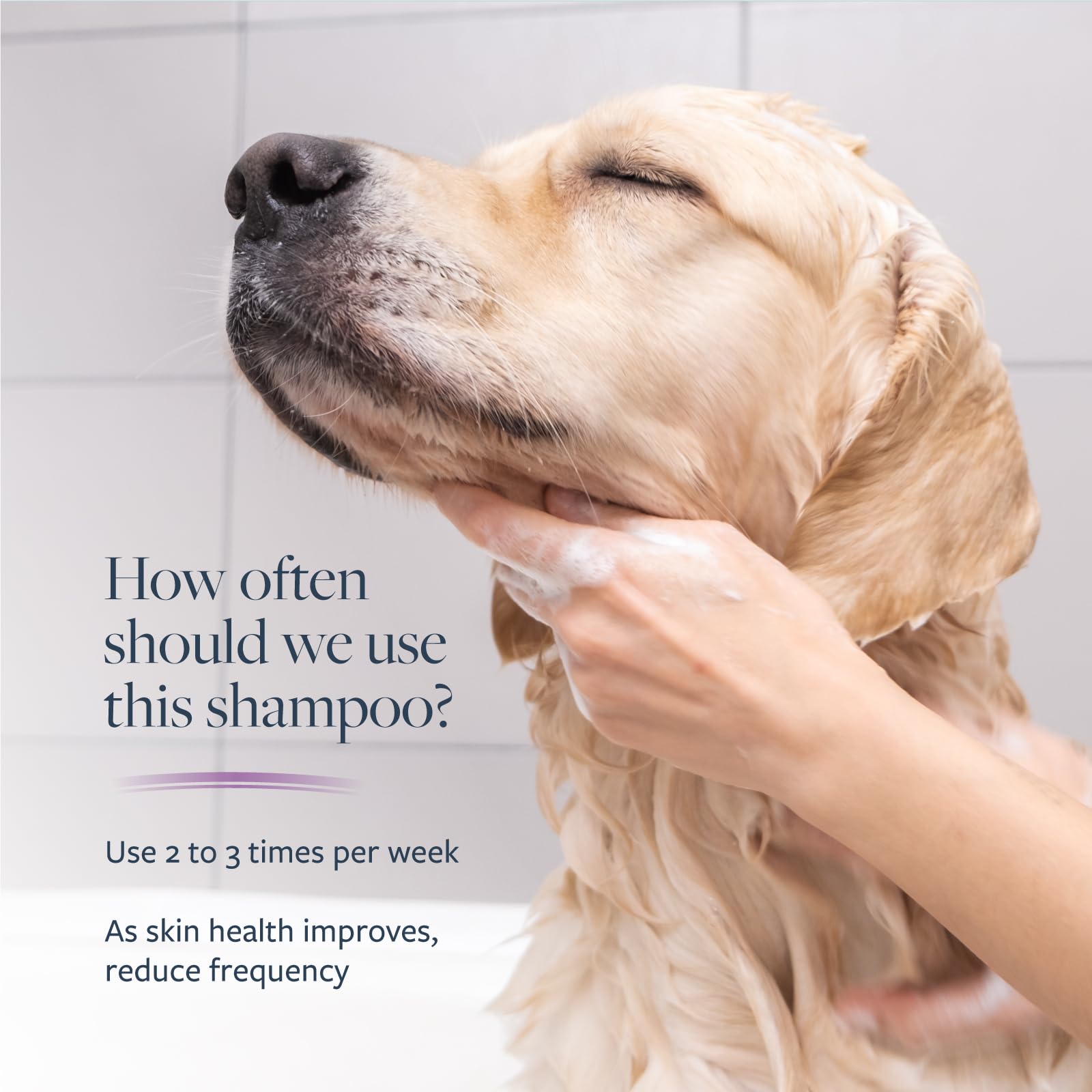Champú con ácido salicílico de Veterinary Formula Clinical Care para exfoliar piel.