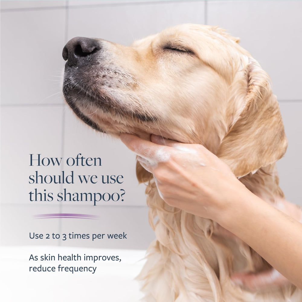 Champú con ácido salicílico de Veterinary Formula Clinical Care para exfoliar piel.