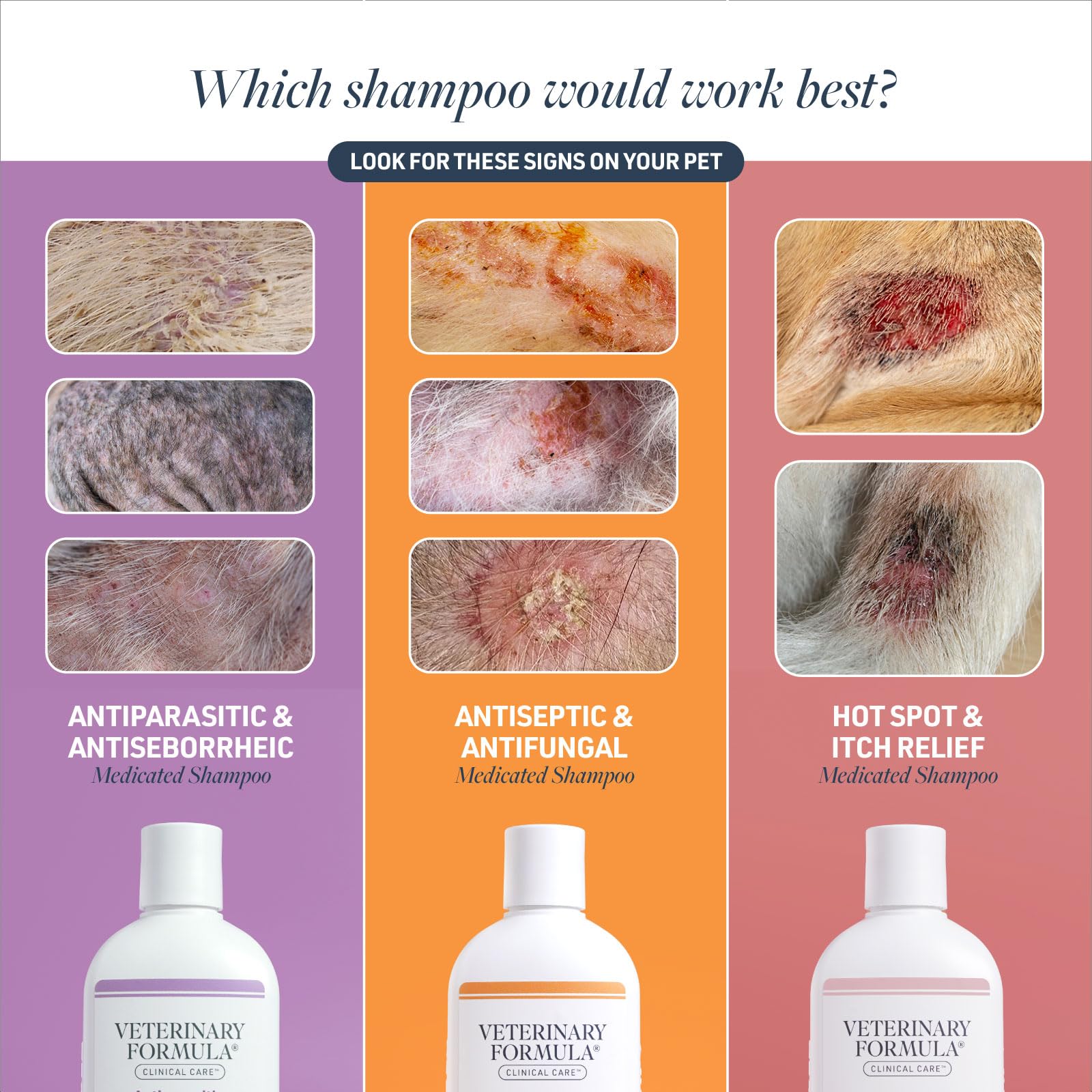 Champú con alantoína de Veterinary Formula Clinical Care, hidratación suave de la piel.