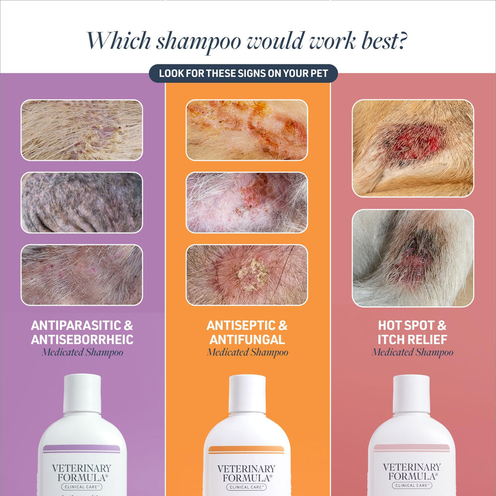 Champú con alantoína de Veterinary Formula Clinical Care, hidratación suave de la piel.