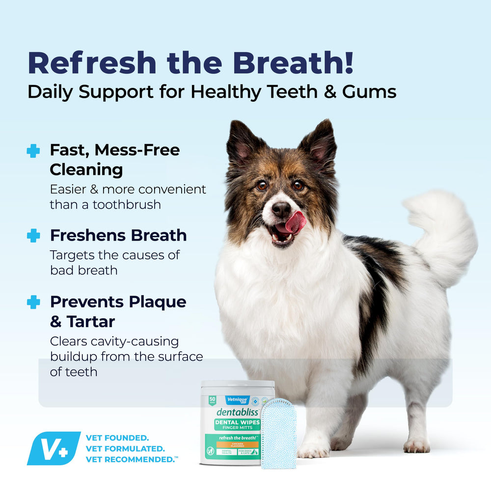 Dentabliss de Vetnique: aroma a romero para higiene bucal natural.