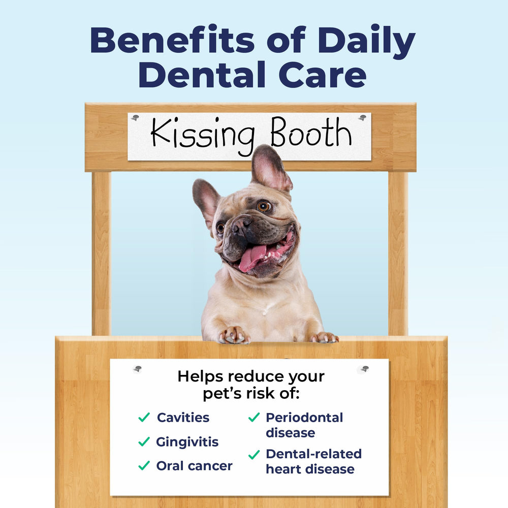 Dentabliss Vetnique: recomendado por veterinarios para uso en casa.