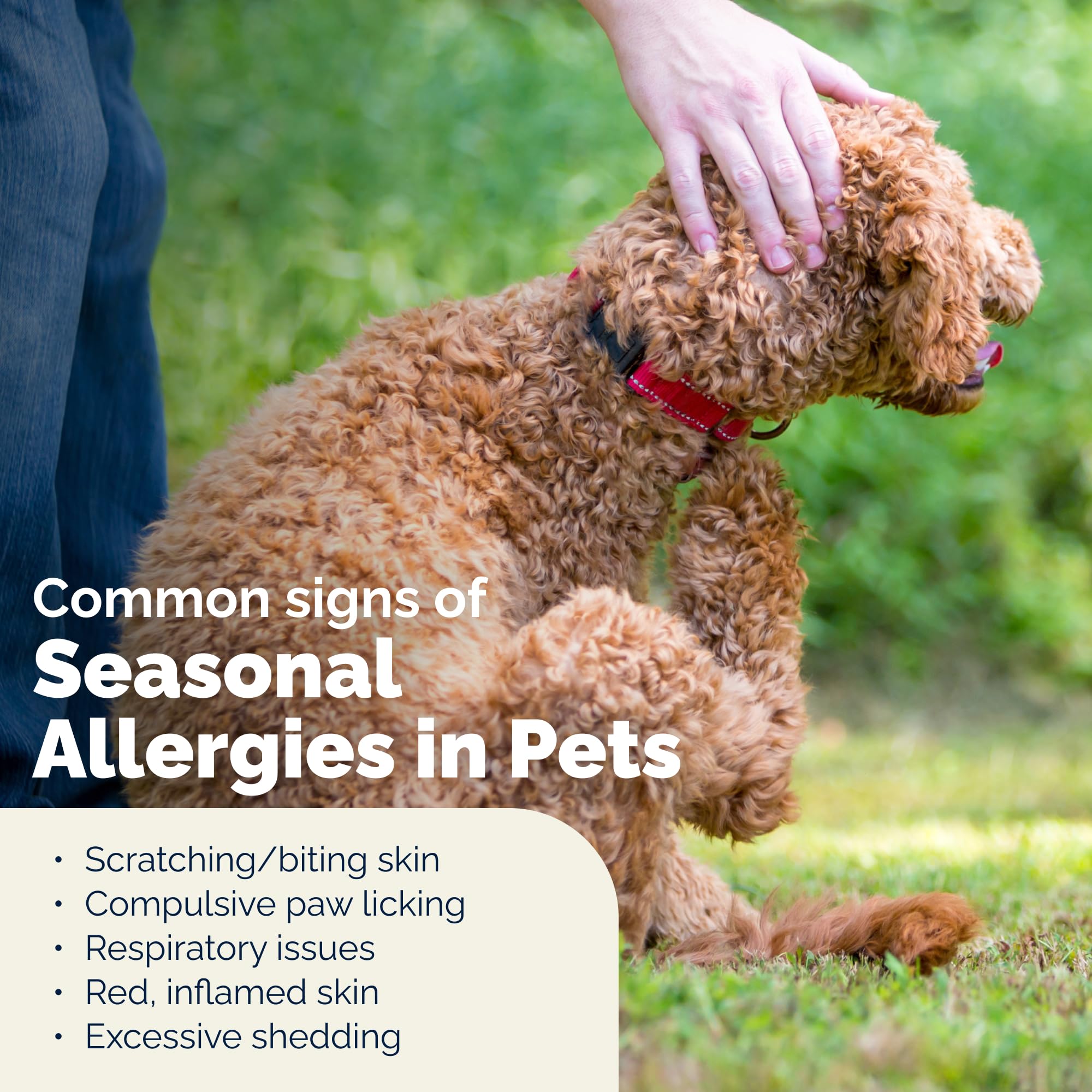 Dermabliss Vetnique: aplicacion-facil ideal para uso diario en perros.