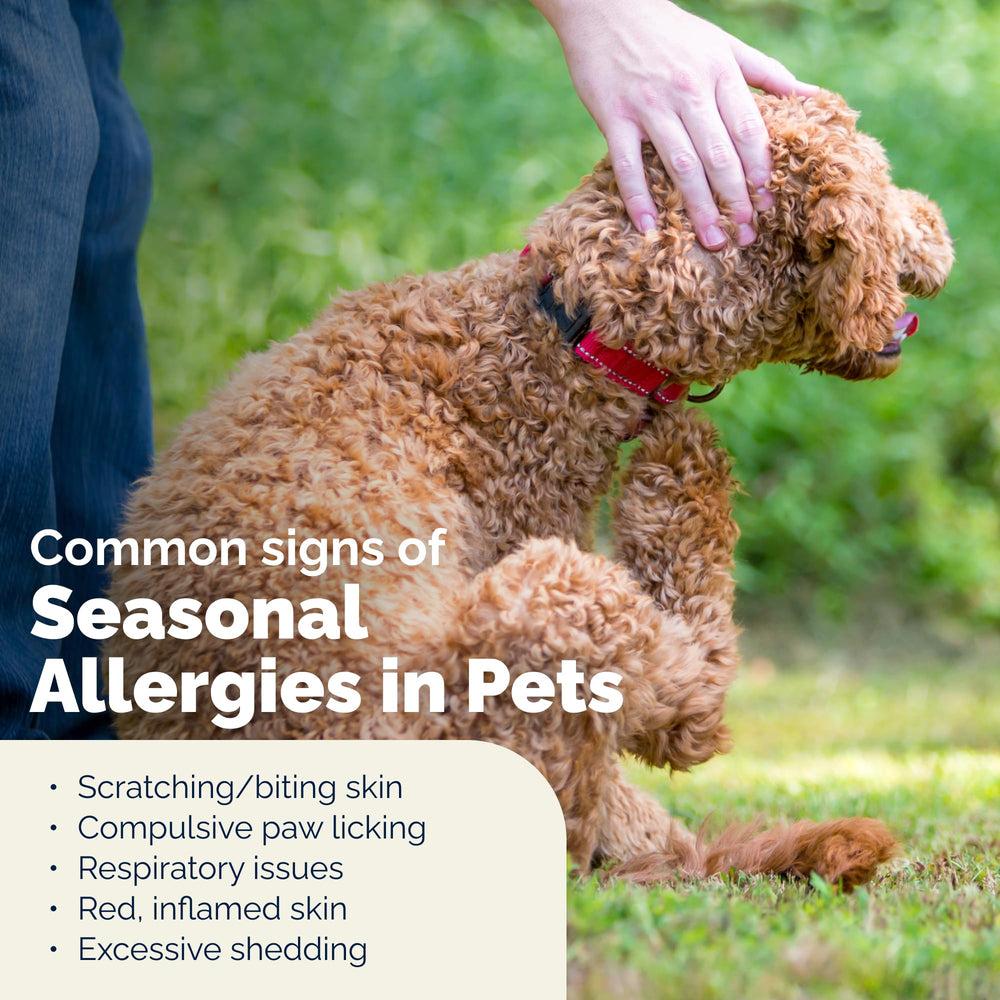 Dermabliss Vetnique: aplicacion-facil ideal para uso diario en perros.