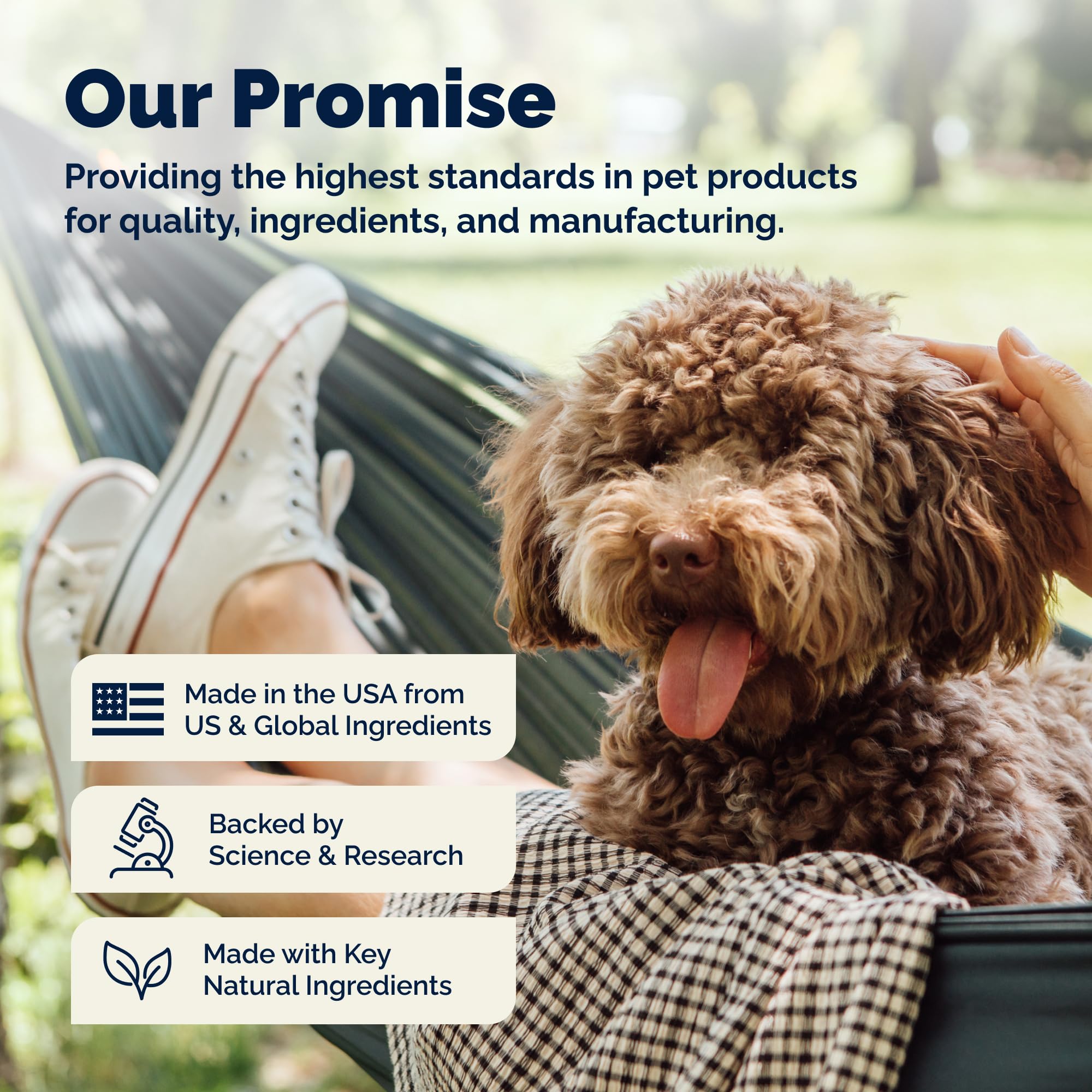 Dermabliss, fabricación en Estados Unidos: respaldo veterinario y calidad.