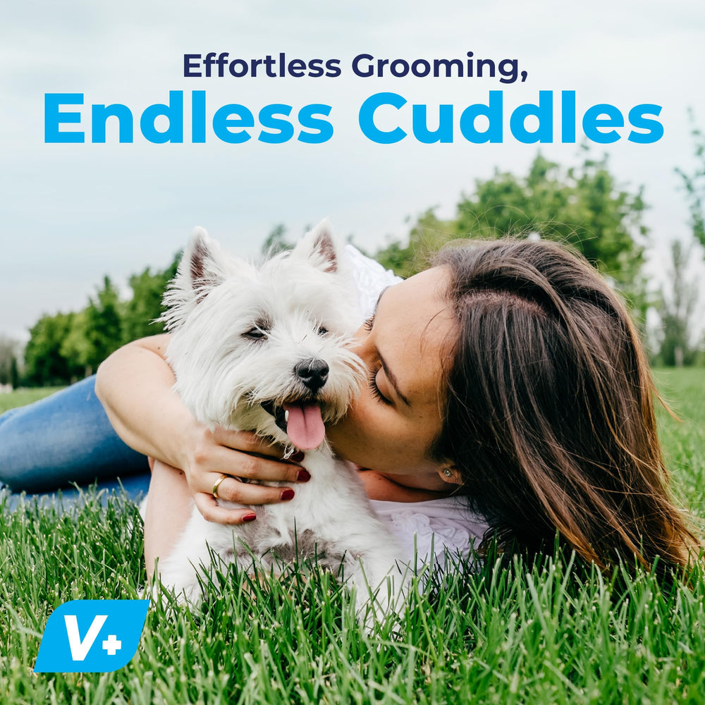 Vetnique Furbliss/DermaBliss: caja de 100 toallitas para cuidado diario