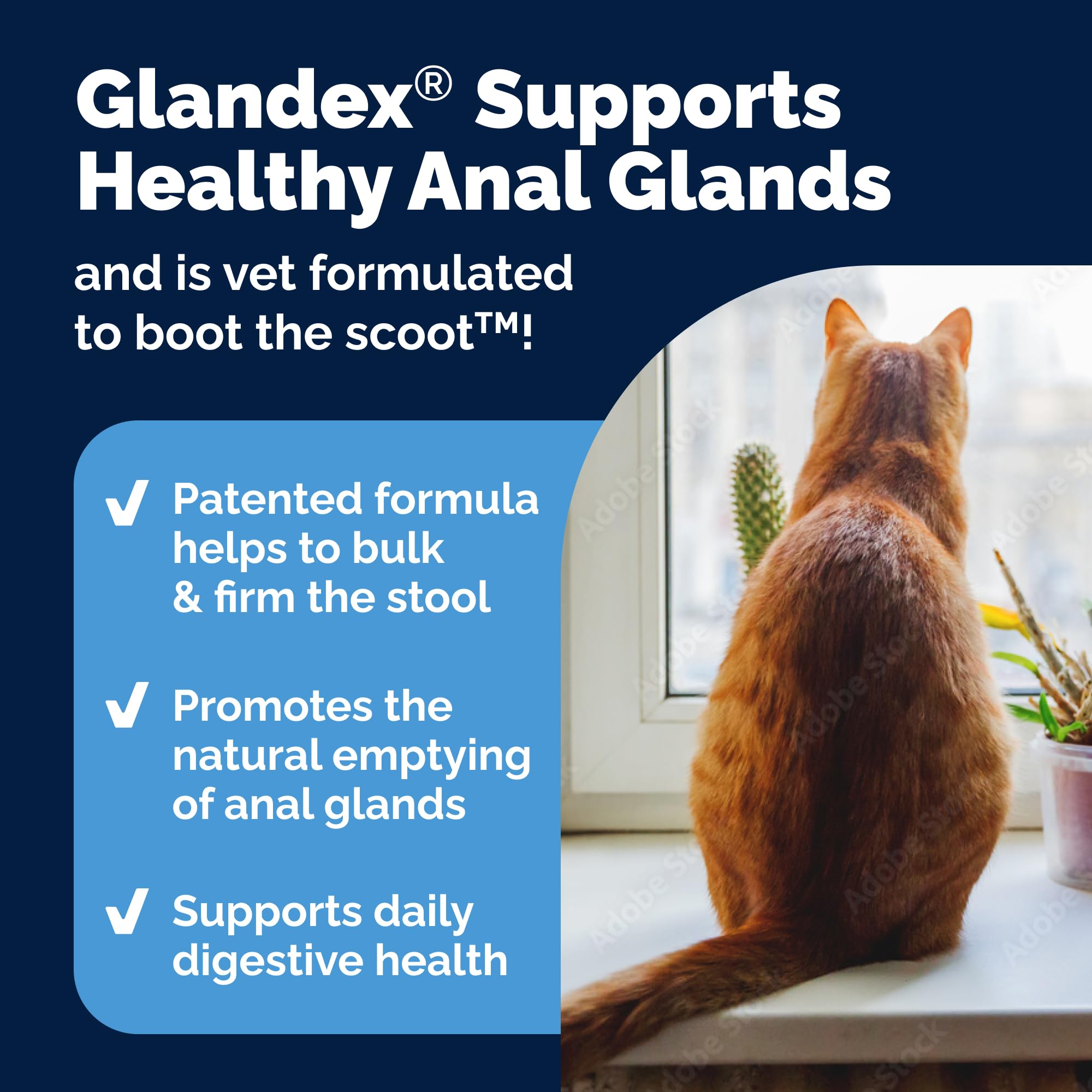 Con enzimas digestivas Vetnique Glandex complemento suave para la digestion.