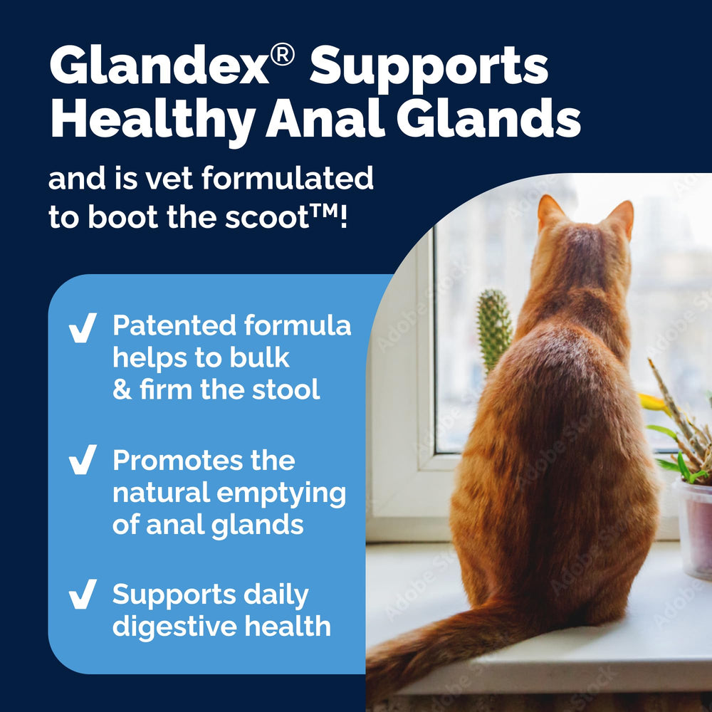 Con enzimas digestivas Vetnique Glandex complemento suave para la digestion.