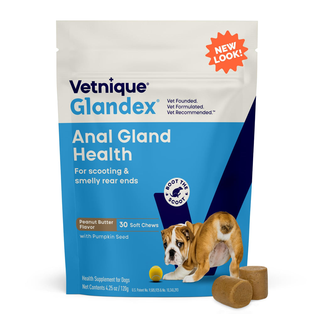 Vetnique Glandex empaque: complemento para glándulas sanas en perros.