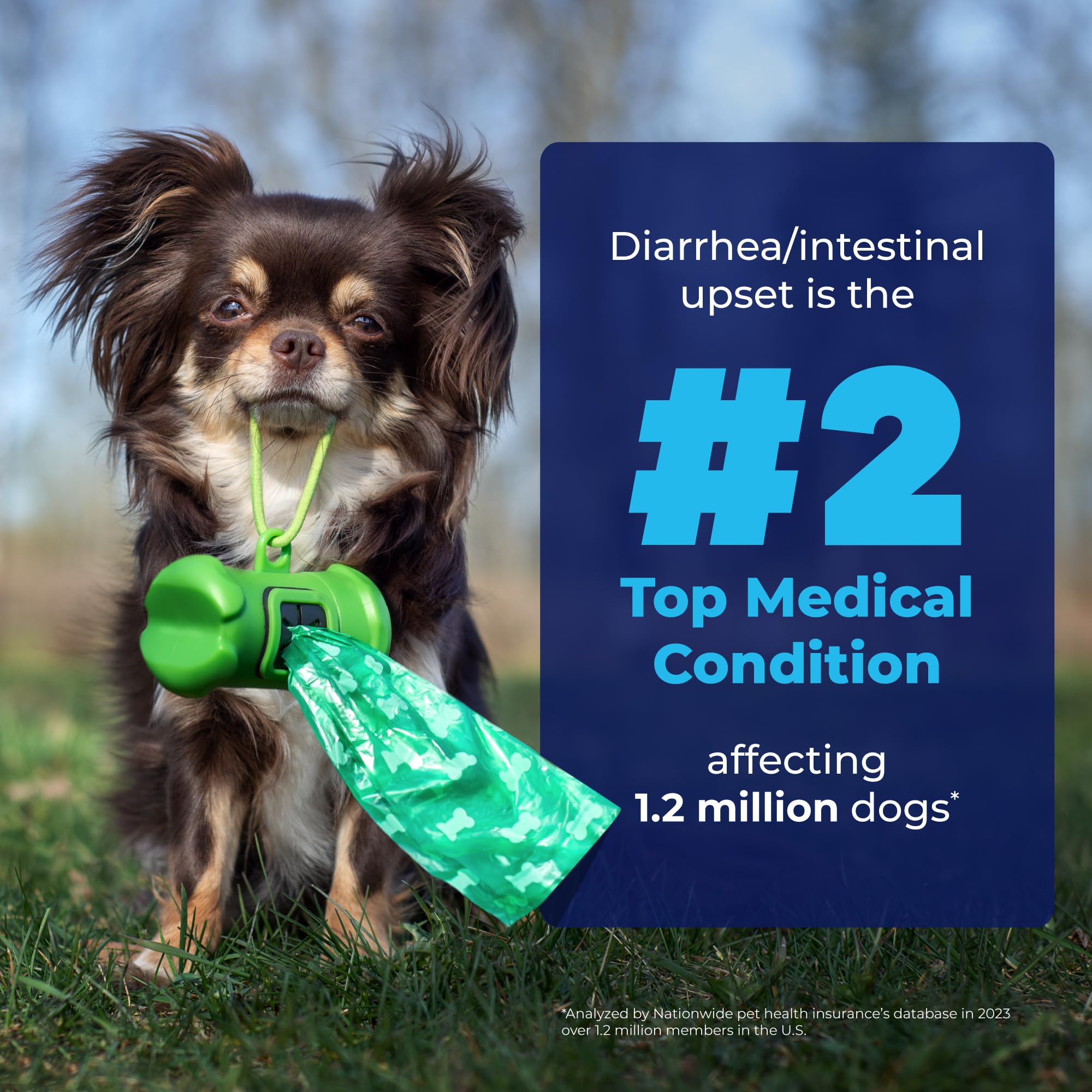 Glandex: enzimas digestivas y probióticos para la microbiota intestinal de tu perro.