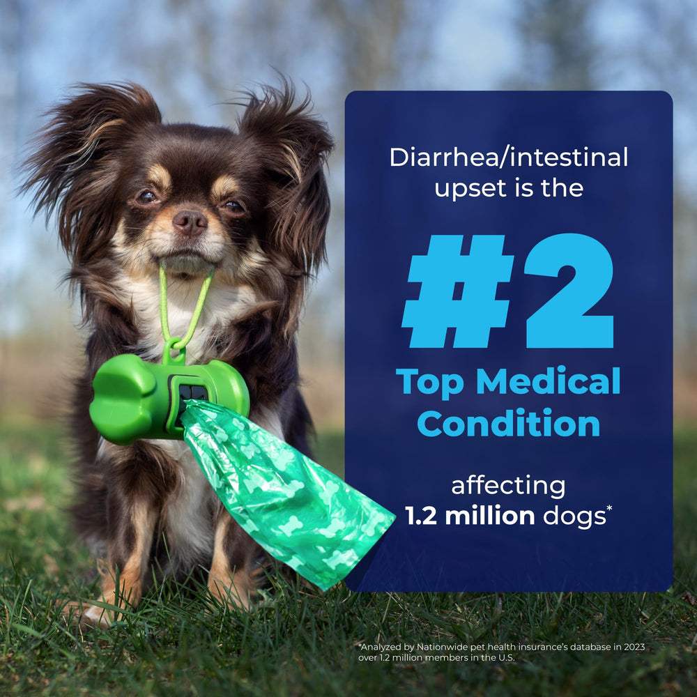 Glandex: enzimas digestivas y probióticos para la microbiota intestinal de tu perro.