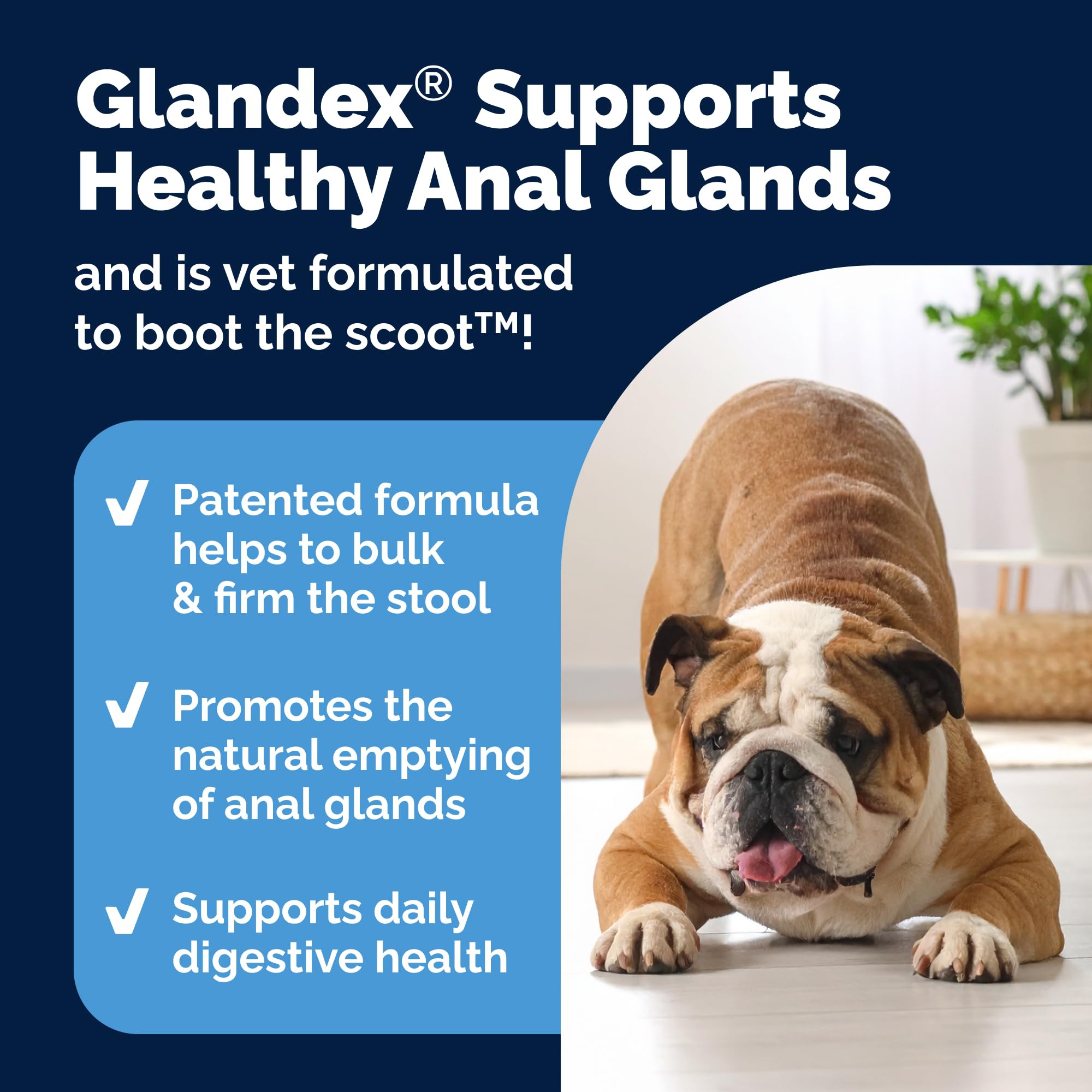 Glandex: enzimas digestivas para favorecer la digestión