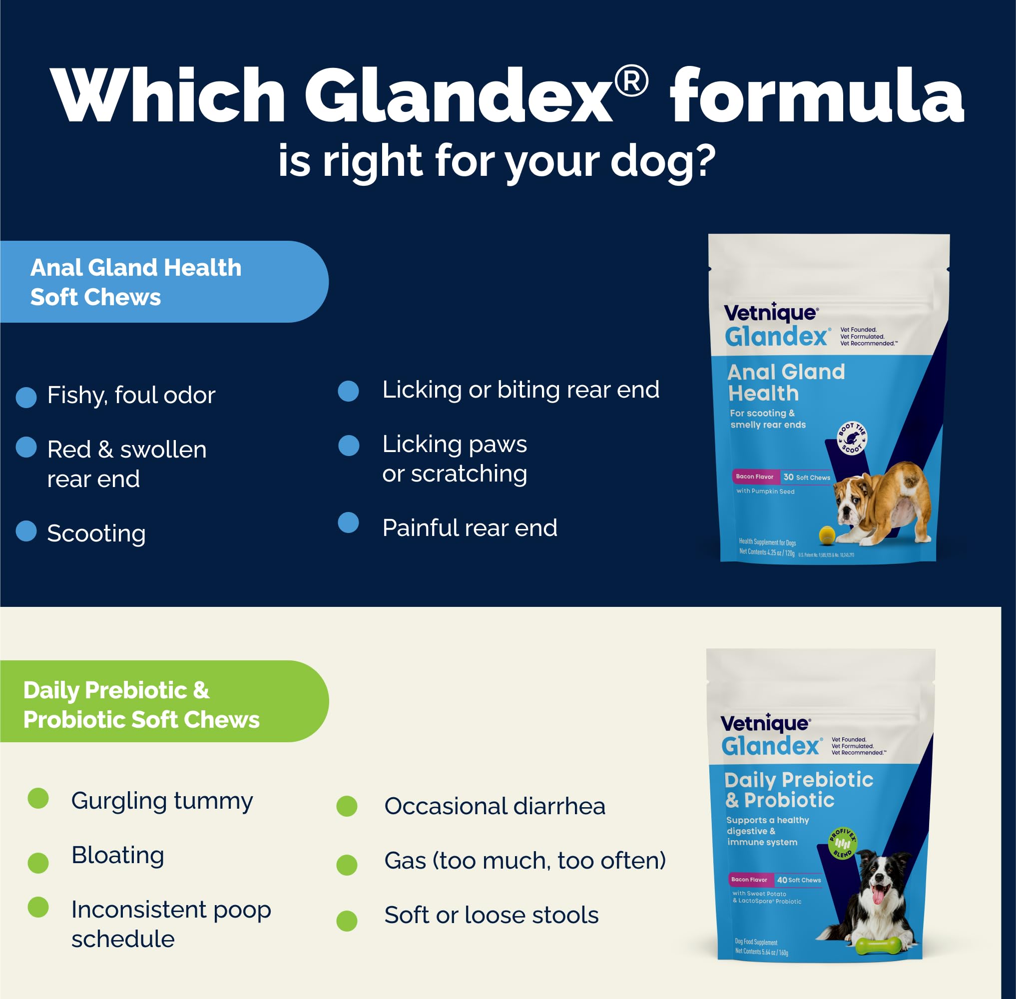 Frasco Vetnique Glandex, hecho en EE. UU. con ingredientes de origen global.