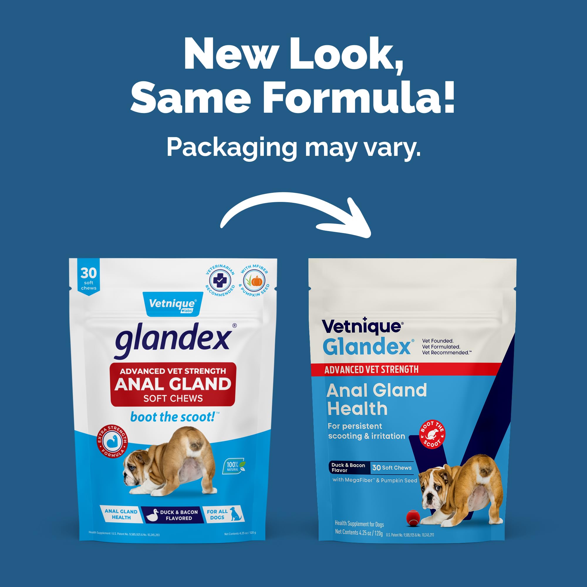 Perro masticando gomitas Vetnique Glandex para soporte digestivo