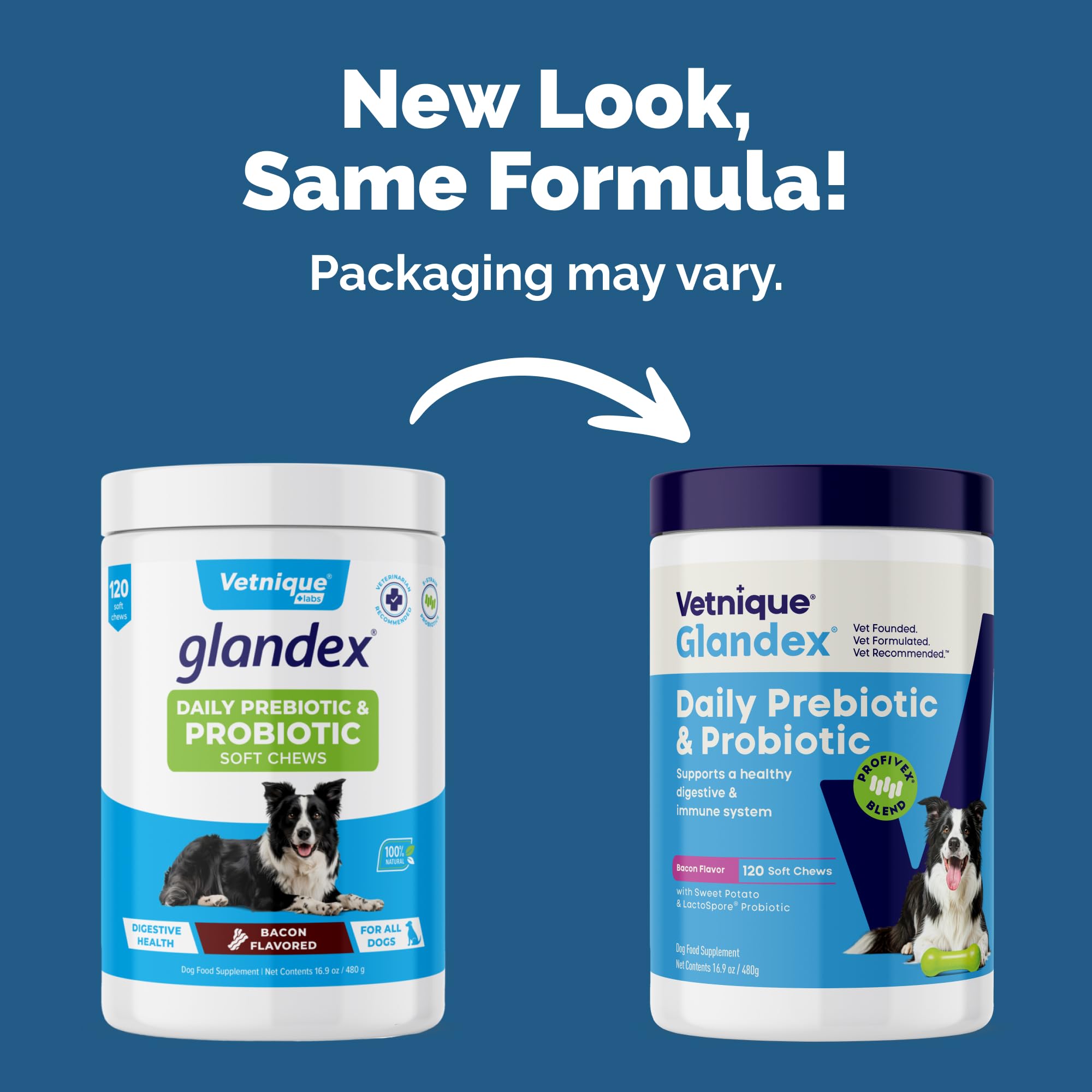 Glandex para perros con probióticos y prebióticos para un equilibrio intestinal.