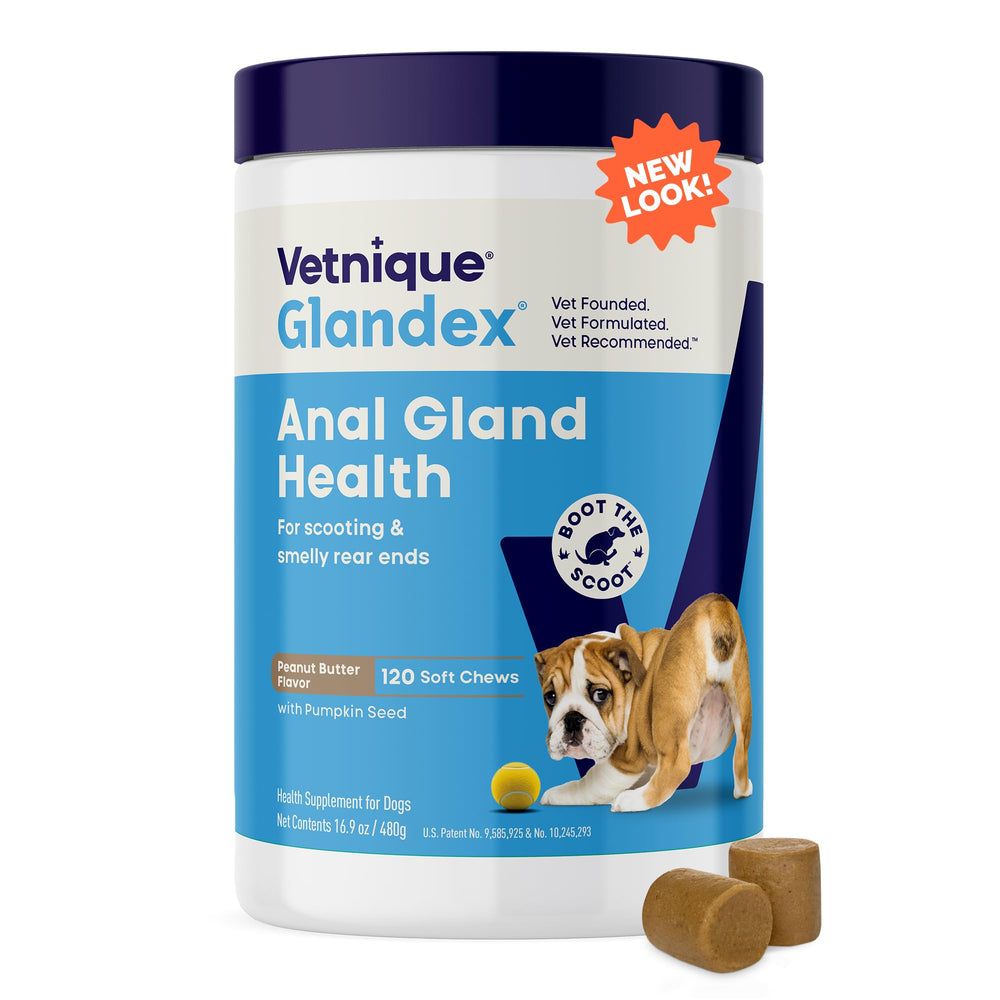 Glandex de Vetnique, premios-calabaza para la digestión diaria del perro.