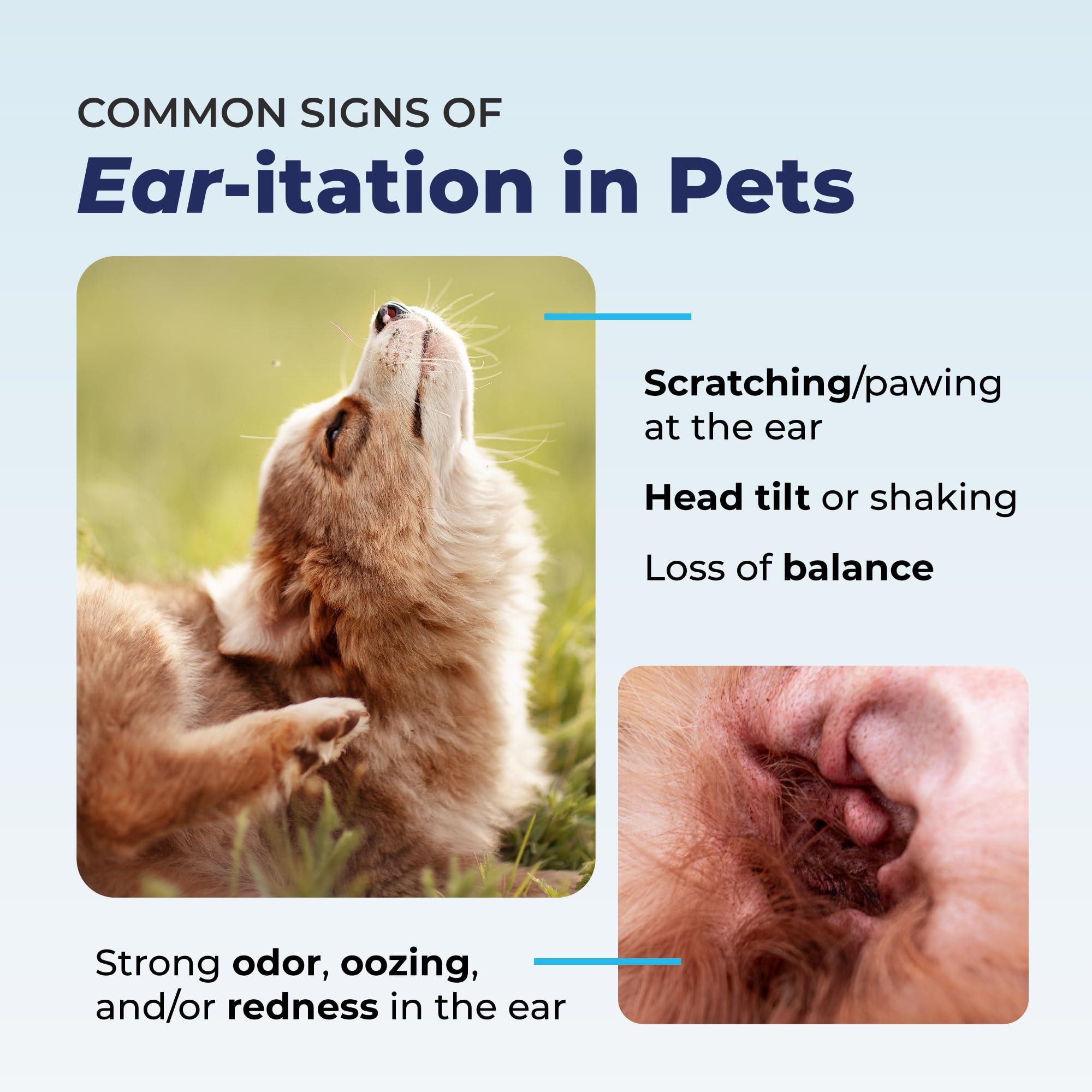 Vetnique Oticbliss: empaque práctico para uso en casa.