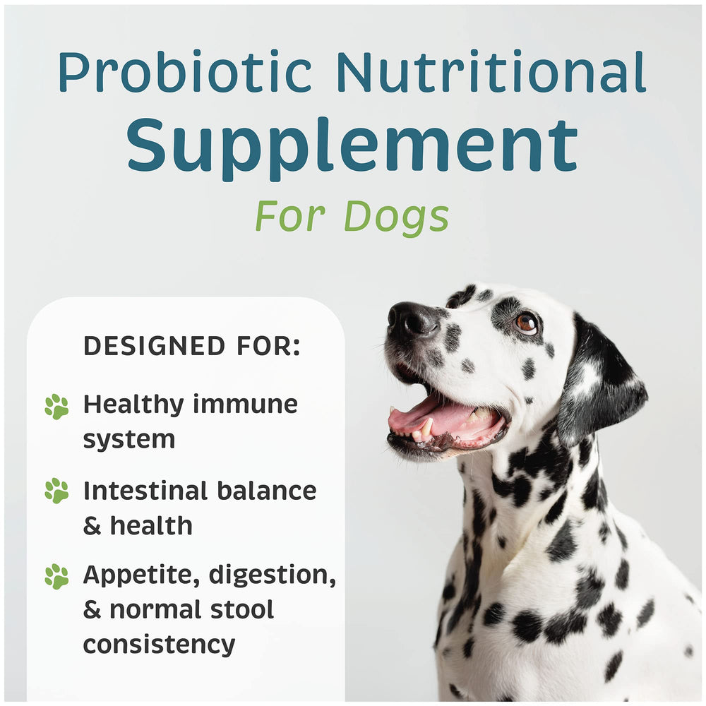 Vet One Advita cultivos vivos para equilibrio intestinal