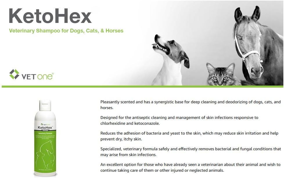 Vet One KetoHex champú, brillo saludable del pelaje tras el lavado.