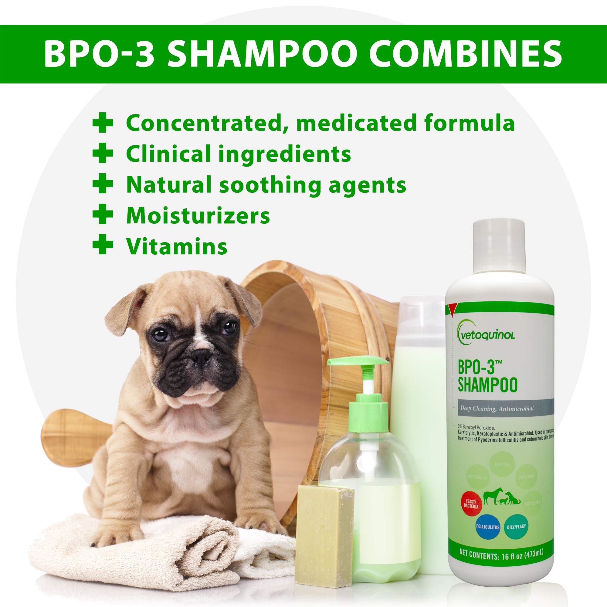 Vetoquinol BPO-3 para caballos: champú medicinal para un pelaje limpio.