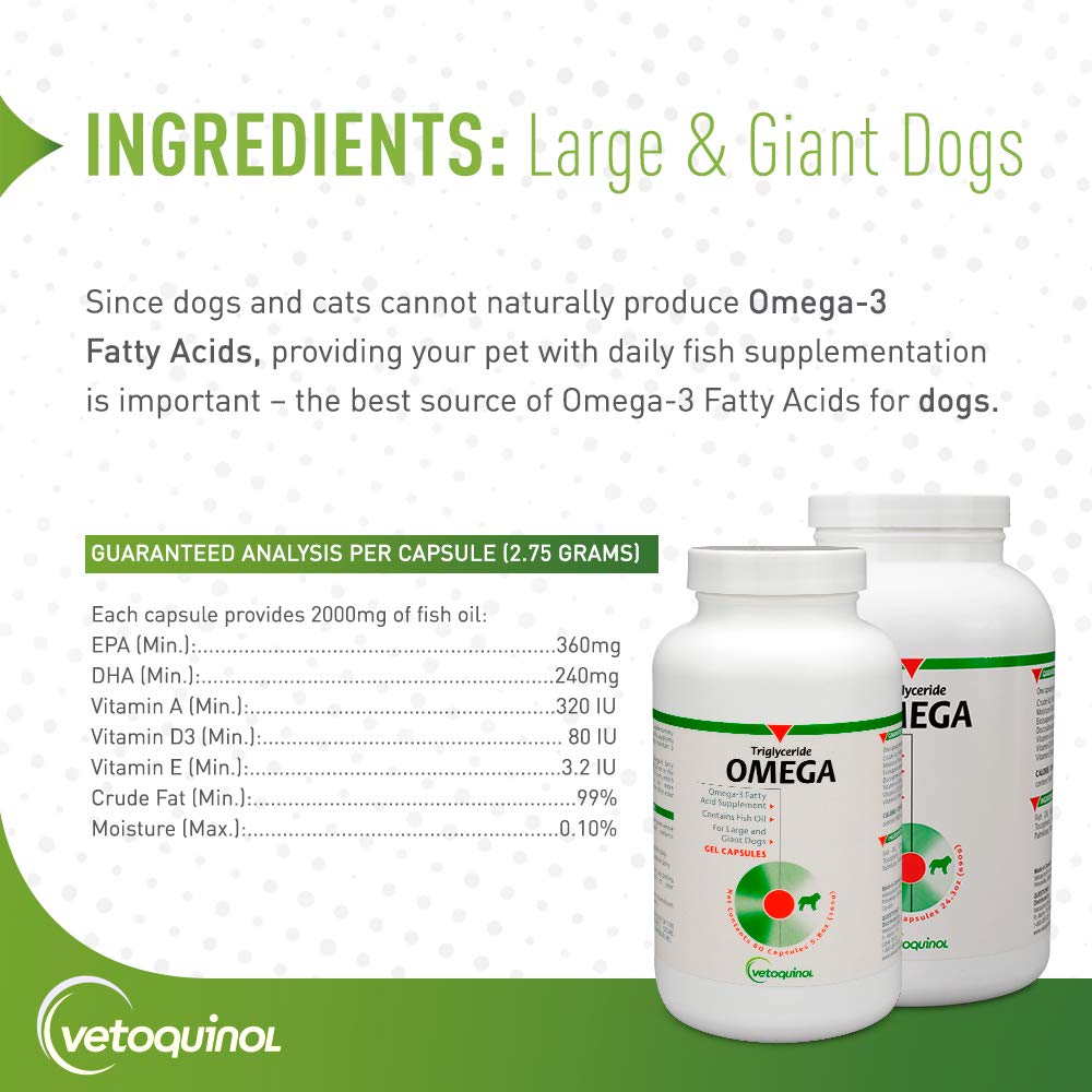 Cápsulas de Vetoquinol para dosis diaria en perros de 60–80 libras.
