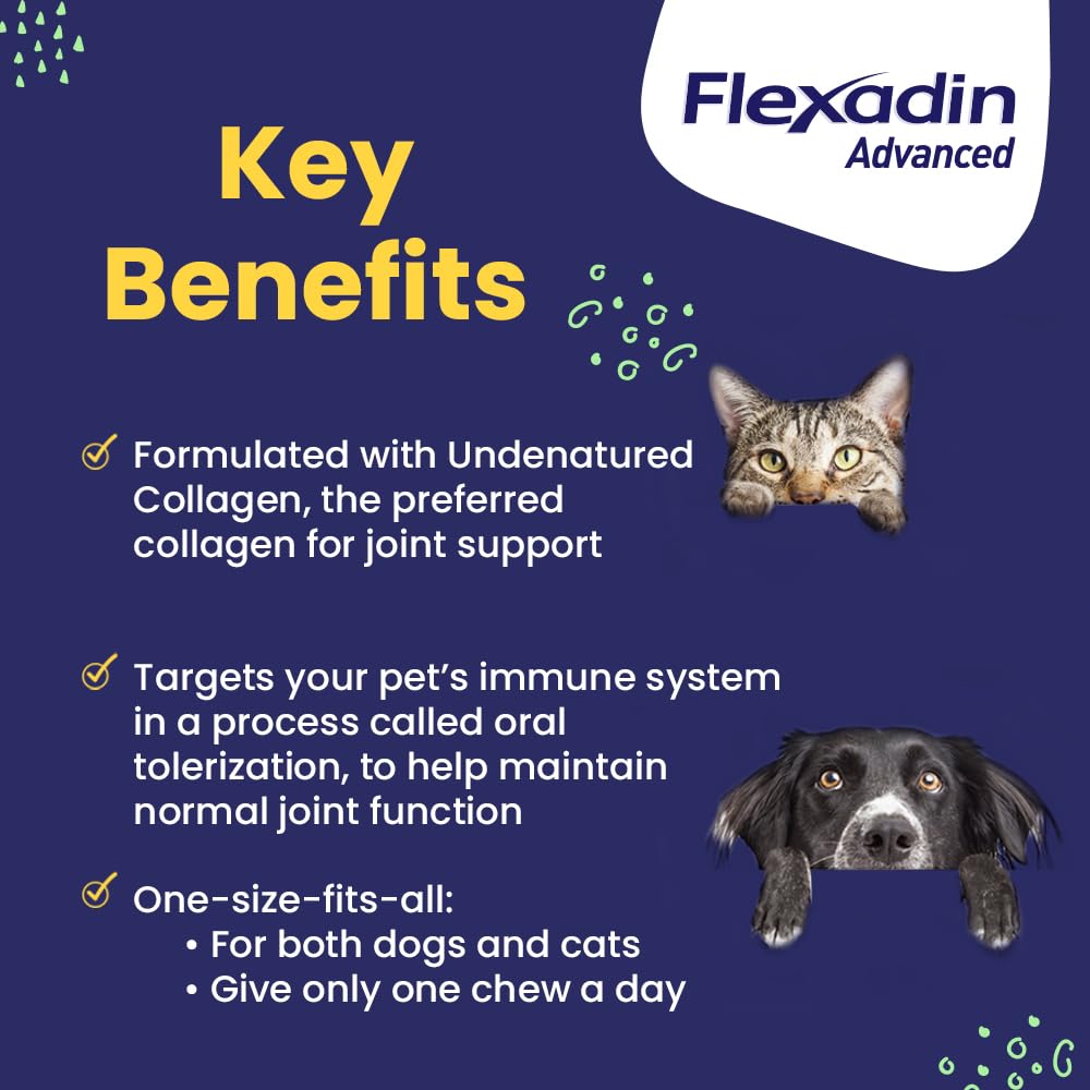 Vetoquinol Flexadin colágeno no desnaturalizado para articulaciones del perro.