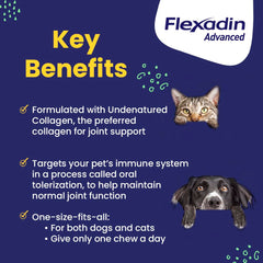 Vetoquinol Flexadin colágeno no desnaturalizado para articulaciones del perro.