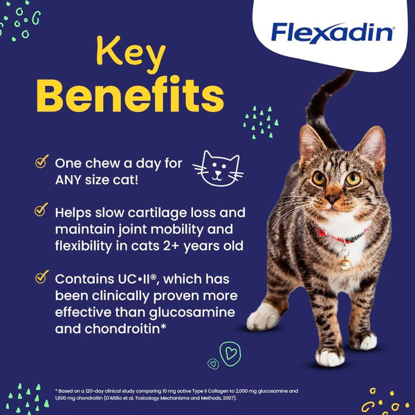 Vetoquinol Flexadin Gato chuches para cadera y movilidad.